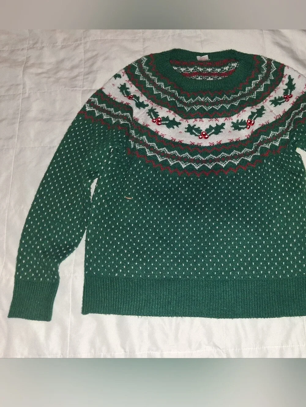 Holiday Time Womwn's Fair Isle Holly Berry Christmas Pullover Sweater - Medium